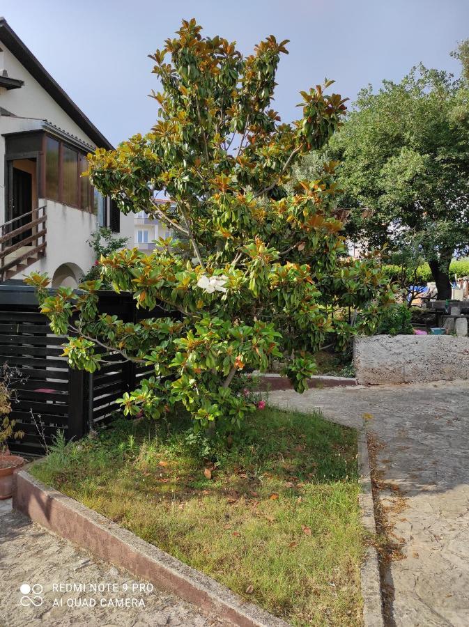 Guesthouse Suzy Pula Exterior photo